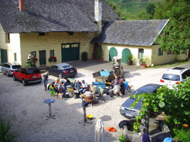 Weinlese Weinlese